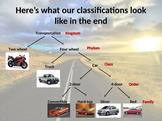 Taxonomy-classification-ppt1 (Taxonomia e classificação).ppt