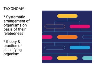 Taxonomy - diversity class 9, introduction to classification | PDF