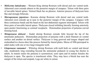 Taxonomy and Biology of Cultivable Crustaceans B.pptx