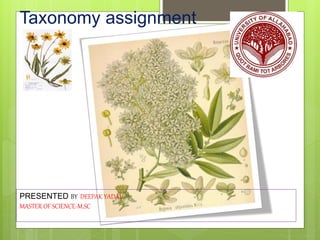 Taxonomy assignment
PRESENTED BY DEEPAK YADAV
MASTER OF SCIENCE-M.SC
 