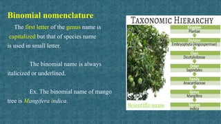 Taxonomy classification