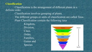 Taxonomy classification