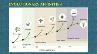 Taxonomy classification