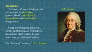 Taxonomy classification