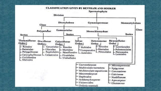 Taxonomy classification | PPT
