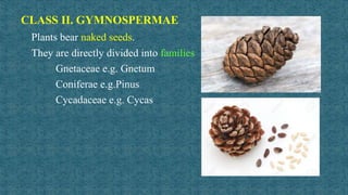 Taxonomy classification