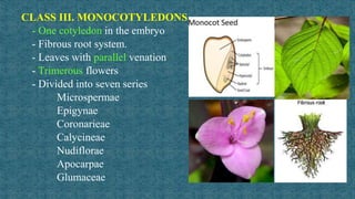 Taxonomy classification