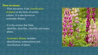 Taxonomy classification