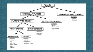 Taxonomy classification