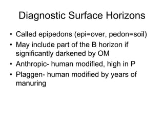 Diagnostic Surface Horizons
• Called epipedons (epi=over, pedon=soil)
• May include part of the B horizon if
significantly darkened by OM
• Anthropic- human modified, high in P
• Plaggen- human modified by years of
manuring
 