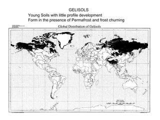 GELISOLS
Young Soils with little profile development
Form in the presence of Permafrost and frost churning
 