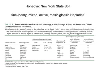 Honeoye: New York State Soil
fine-loamy, mixed, active, mesic glossic Hapludalf
 