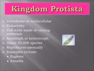  Unicellular or multicellular
 Eukaryotic
 Cell walls made of varying
materials
 Autotroph or heterotroph
 About 50,000 species
 Reproduces-asexually
 Examples include:
 Euglena
 Amoeba
 