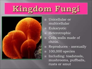  Unicellular or
multicellular
 Eukaryotic
 Heterotrophic
 Cells walls made of
chitin.
 Reproduces - asexually
 100,000 species
 Including: toadstools,
mushrooms, puffballs,
rusts or smut
 
