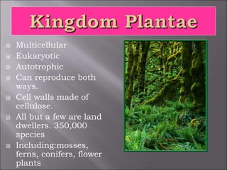  Multicellular
 Eukaryotic
 Autotrophic
 Can reproduce both
ways.
 Cell walls made of
cellulose.
 All but a few are land
dwellers. 350,000
species
 Including:mosses,
ferns, conifers, flower
plants
 