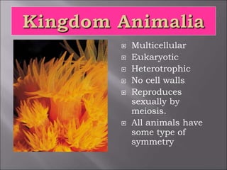  Multicellular
 Eukaryotic
 Heterotrophic
 No cell walls
 Reproduces
sexually by
meiosis.
 All animals have
some type of
symmetry
 