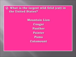 Q. What is the largest wild felid (cat) in
the United States?
Mountain Lion
Cougar
Panther
Painter
Puma
Catamount
 
