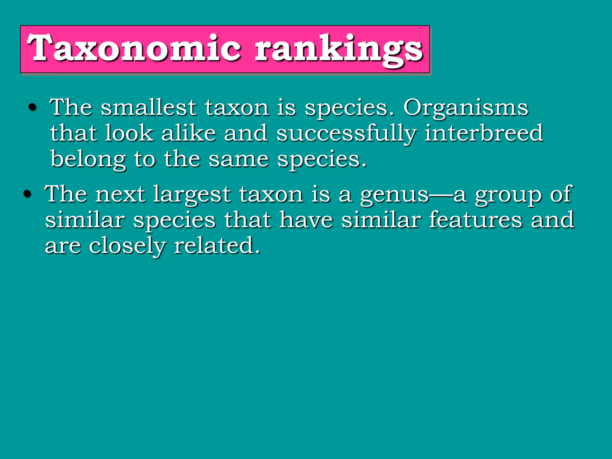 Taxonomic rankings
• The smallest taxon is species. Organisms
that look alike and successfully interbreed
belong to the same species.
• The next largest taxon is a genus—a group of
similar species that have similar features and
are closely related.
 