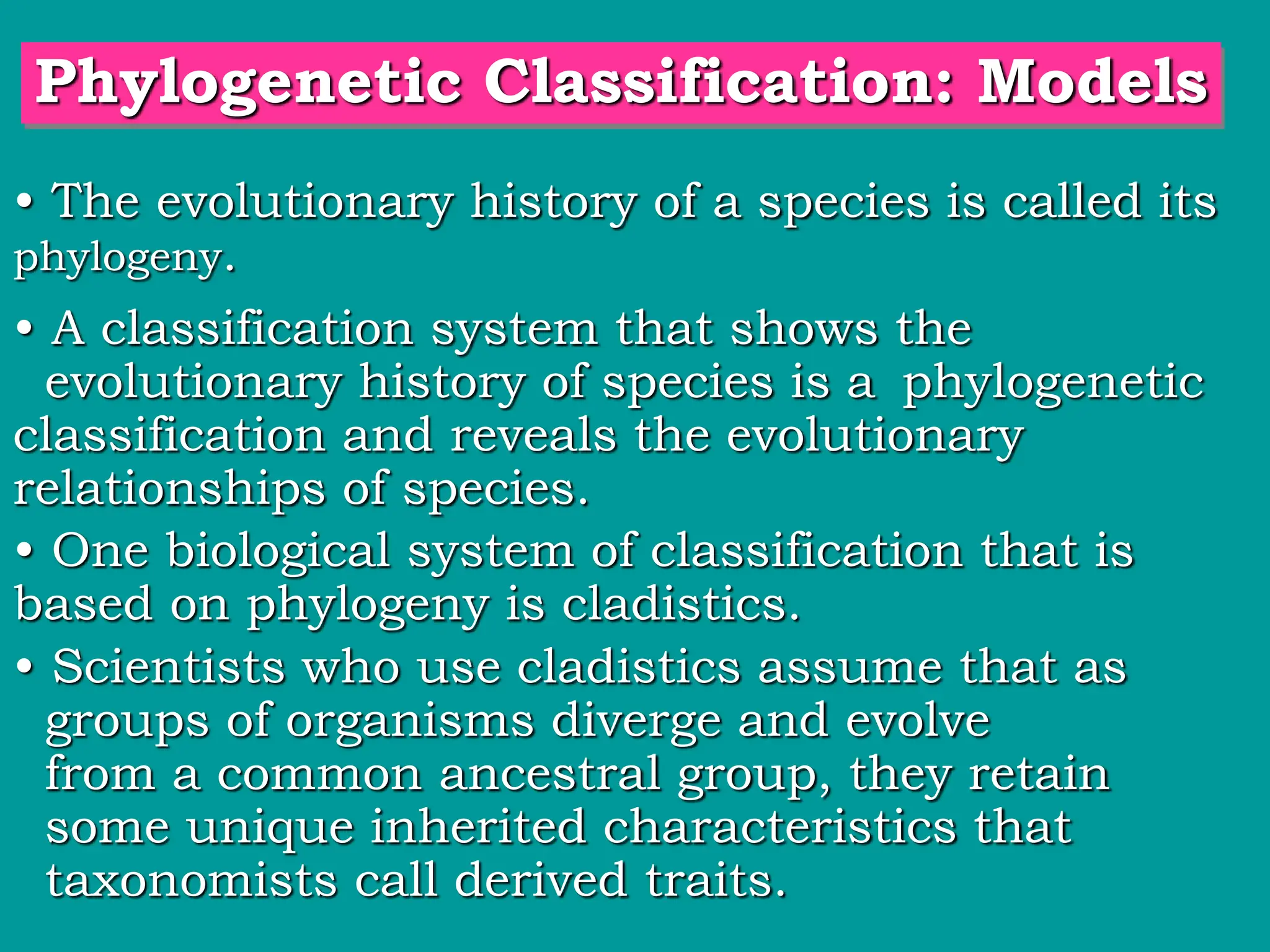 • The evolutionary history of a species is called its
phylogeny.
Phylogenetic Classification: Models
• A classification system that shows the
evolutionary history of species is a phylogenetic
classification and reveals the evolutionary
relationships of species.
• One biological system of classification that is
based on phylogeny is cladistics.
• Scientists who use cladistics assume that as
groups of organisms diverge and evolve
from a common ancestral group, they retain
some unique inherited characteristics that
taxonomists call derived traits.
 