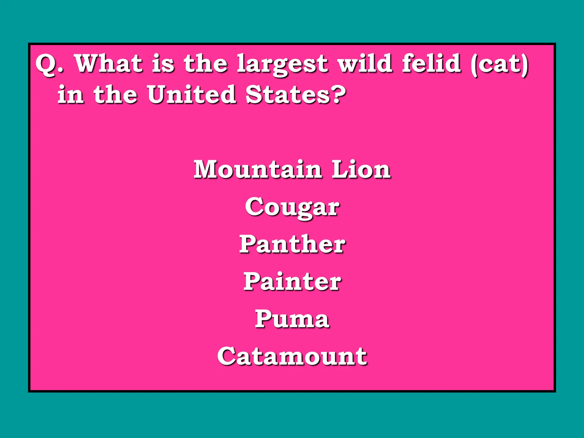 Q. What is the largest wild felid (cat)
in the United States?
Mountain Lion
Cougar
Panther
Painter
Puma
Catamount
 