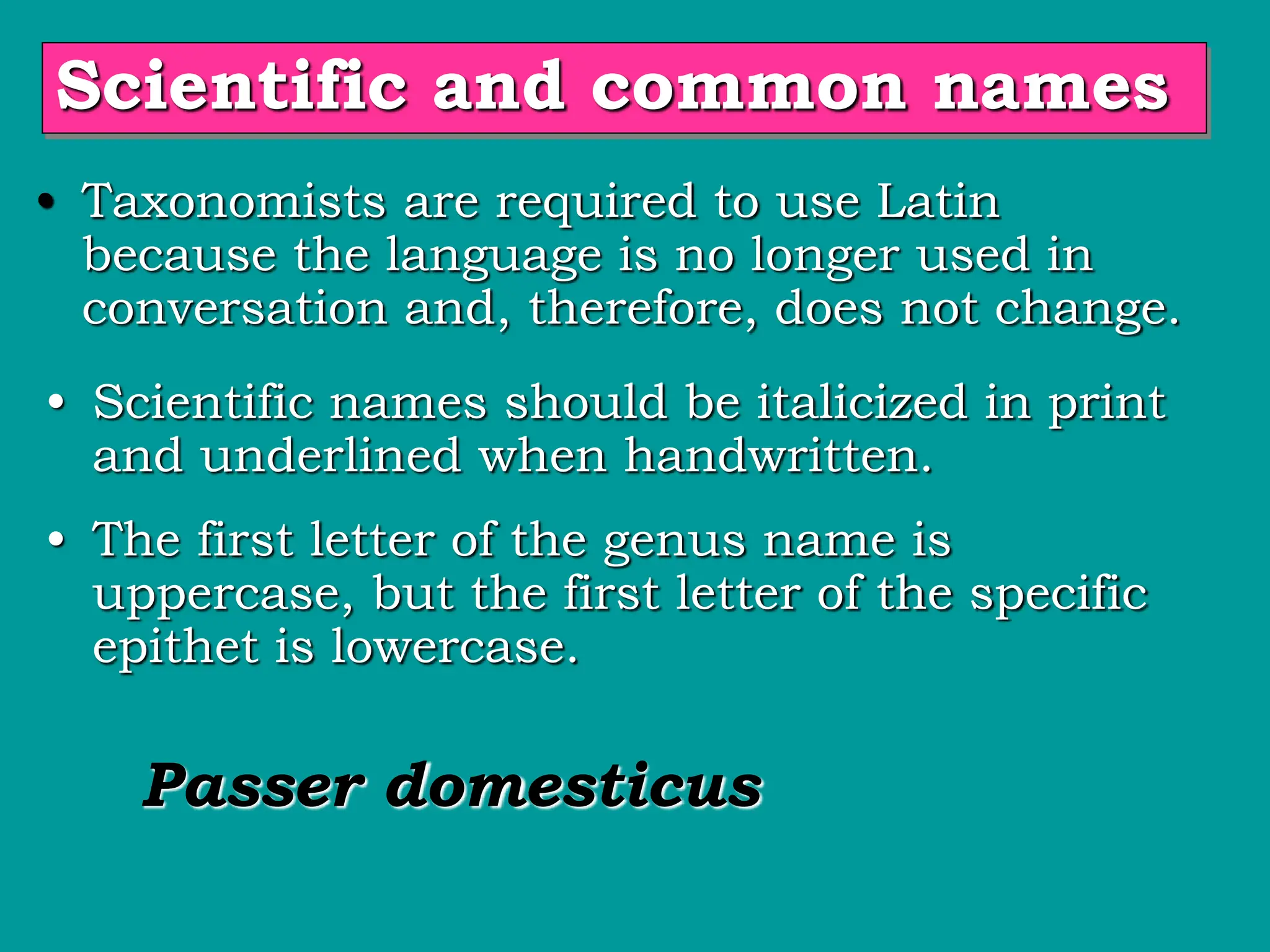 • Scientific names should be italicized in print
and underlined when handwritten.
• Taxonomists are required to use Latin
because the language is no longer used in
conversation and, therefore, does not change.
• The first letter of the genus name is
uppercase, but the first letter of the specific
epithet is lowercase.
Passer domesticus
Scientific and common names
 