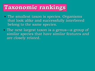 Taxonomic rankings
• The smallest taxon is species. Organisms
that look alike and successfully interbreed
belong to the same species.
• The next largest taxon is a genus—a group of
similar species that have similar features and
are closely related.
 