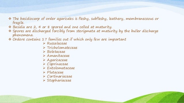 pix Agaricales Life Cycle https www slideshare net rajneesh1993 taxonomy classification and life cycle of cultivated