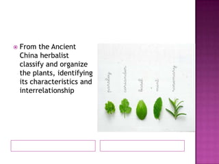    From the Ancient
    China herbalist
    classify and organize
    the plants, identifying
    its characteristics and
    interrelationship
 