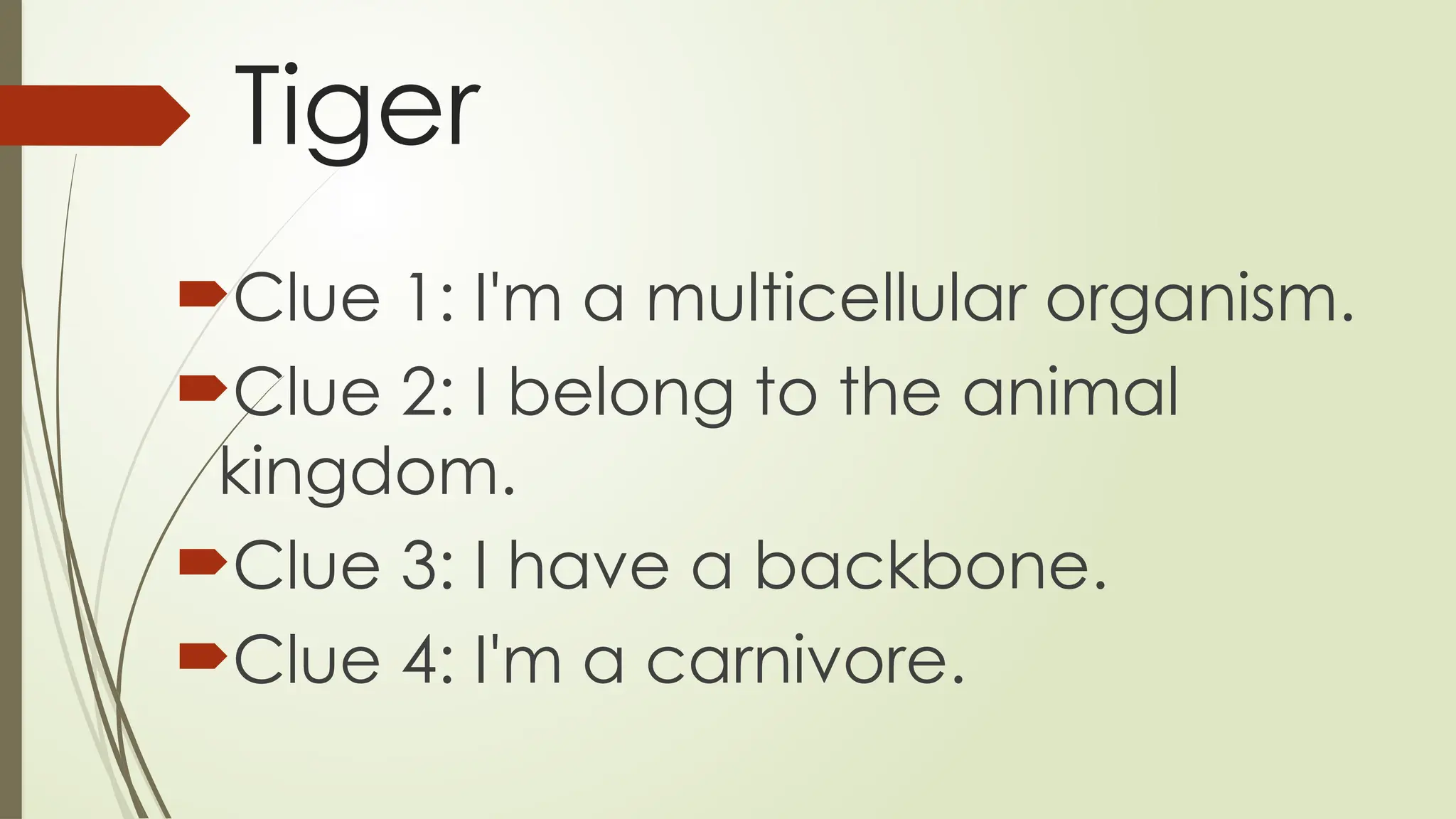 Tiger
Clue 1: I'm a multicellular organism.
Clue 2: I belong to the animal
kingdom.
Clue 3: I have a backbone.
Clue 4: I'm a carnivore.
 
