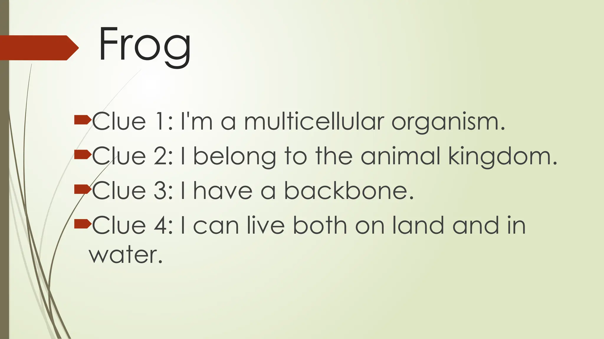 Frog
Clue 1: I'm a multicellular organism.
Clue 2: I belong to the animal kingdom.
Clue 3: I have a backbone.
Clue 4: I can live both on land and in
water.
 