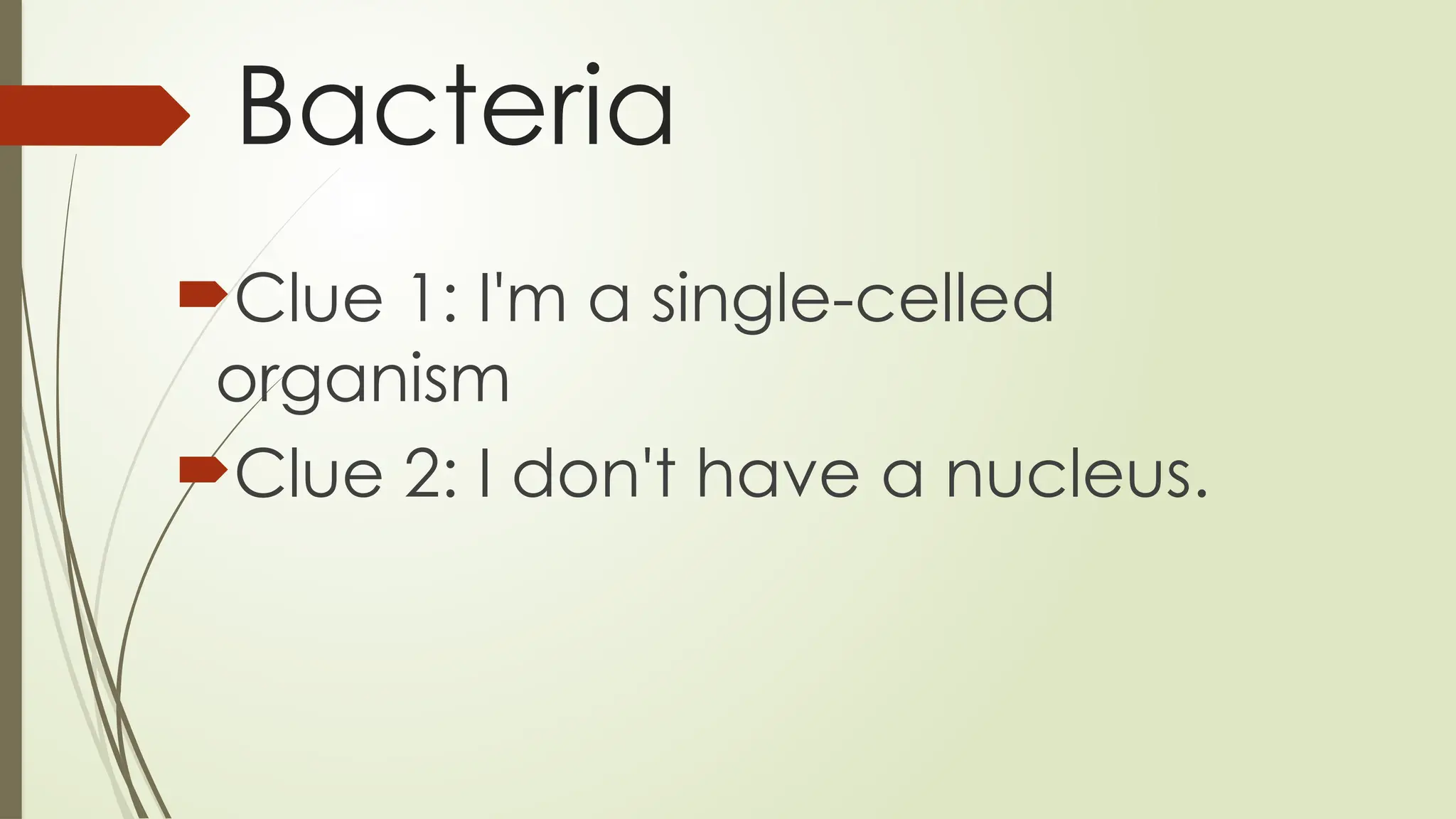Bacteria
Clue 1: I'm a single-celled
organism
Clue 2: I don't have a nucleus.
 