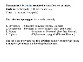 Telsontail Insect Taxonomy of different orders of an insect.pptx