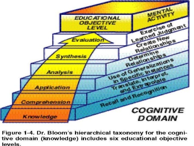 cognitive domain
