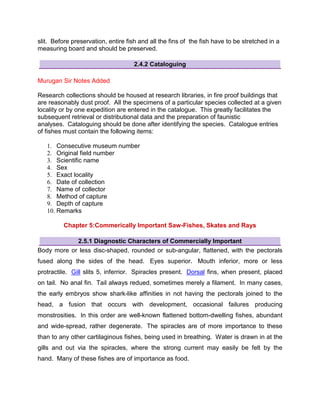 Taxonomy of finfish notes | PDF