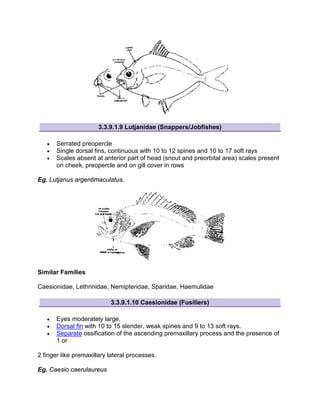 Taxonomy of finfish notes | PDF