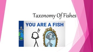 Taxonomy Of Fishes
 