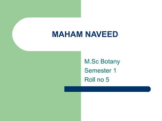 MAHAM NAVEED 
M.Sc Botany 
Semester 1 
Roll no 5 
 