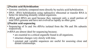 Nucleic acid Hybridization
• Genome similarity compared more directly by nucleic acid hybridization.
• DNA –RNA hybridization using radioactive ribosomal or transfer RNA is
better for detecting distantly related organisms.
• rRNA and tRNA are used because they represent only a small portion of
total DNA genome and have not evolved as rapidly as other gene.
Nucleic acid sequencing
• Sequencing of 5s and 16s rRNAs isolated from the 50s and 30s subunits
respectively.
rRNA are almost ideal for sequencing because;
• are essential to a critical organelle found in all organisms.
• structure changes very slowly with time.
• constant and variable sequences are useful for assessing close and
distant relationships.
 