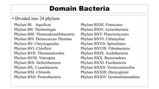 Domain Bacteria
• Divided into 24 phylum
Phylum BI. Aquificae
Phylum BII. Thermotogae
Phylum BIII. Thermodessulfobacteria
Phylum BIV. Deinococcus-Thermus
Phylum BV. Chrysiogeneles
Phylum BVI. Chloflexi
Phylum BVII. Thermomicrobia
Phylum BVIII. Nitrospira
Phylum BIX. Deferribacteres
Phylum BX. Cyanobacteria
Phylum BXI. Chlorobi
Phylum BXII. Proteobacteria
Phylum BXIII. Firmicutes
Phylum BXIV. Actinobacteria
Phylum BXV. Planctomycetes
Phylum BXVI. Chlamydiae
Phylum BXVII. Spirochates
Phylum BXVIII. Fibrobacteres
Phylum BXIX. Acidobacteria
Phylum BXX. Bacteriodetes
Phylum BXXI. Fusobacteria
Phylum BXXII. Vermicomicrobia
Phylum BXXIII. Dictyoglomi
Phylum BXXIV. Gemmatimonadetes
 