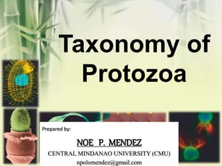 Taxonomy of
Protozoa
Prepared by:
NOE P. MENDEZ
CENTRAL MINDANAO UNIVERSITY (CMU)
npolomendez@gmail.com
 