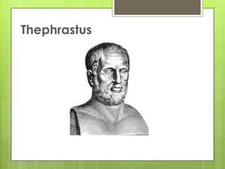 Thephrastus
 