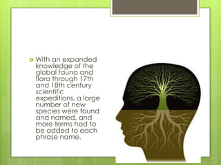    With an expanded
    knowledge of the
    global fauna and
    flora through 17th
    and 18th century
    scientific
    expeditions, a large
    number of new
    species were found
    and named, and
    more terms had to
    be added to each
    phrase name.
 