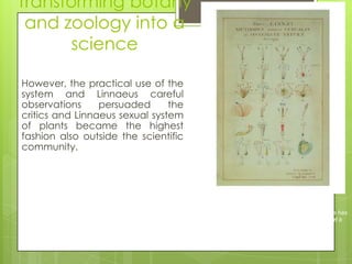 Transforming botany
 and zoology into a
       science

However, the practical use of the
system and Linnaeus careful
observations     persuaded      the
critics and Linnaeus sexual system
of plants became the highest
fashion also outside the scientific
community.




                                      Linnaeus's sexual system for plants, based
                                      principally on the number of male and female
                                      sexual organs in flowering plants, where part a has
                                      one stamen (male) and one style (female), part b
                                      has two stamens and one style, and so forth.
                                      (Illustration by Georg Dionysius Ehret, 1736)
 