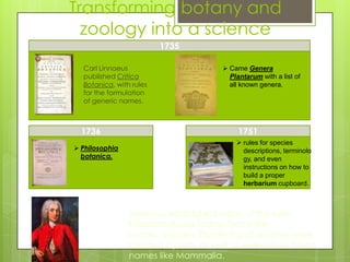 Transforming botany and
  zoology into a science
                           1735

   Carl Linnaeus                       Came Genera
    published Critica                    Plantarum with a list of
    Botanica, with rules                 all known genera.
    for the formulation
    of generic names.



    1736                                    1751
                                            rules for species
 Philosophia                                descriptions, terminolo
  botanica.                                  gy, and even
                                             instructions on how to
                                             build a proper
                                             herbarium cupboard.



                  Linnaeus established many of the rules
                  taxonomists use today. Terms like
                  corolla, stamen, filament and another were
                  created by him, as well as well-known taxon
                  names like Mammalia.
 