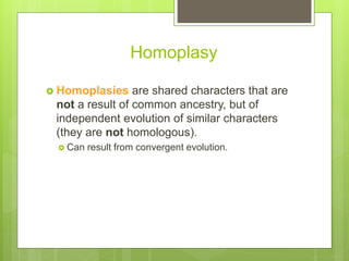 Homoplasy Definition taxonomyphylogenytutorial.ppt GENERAL BIOLOGY | PPT