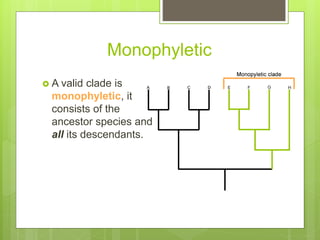 taxonomyphylogenytutorial.ppt GENERAL BIOLOGY | PPT