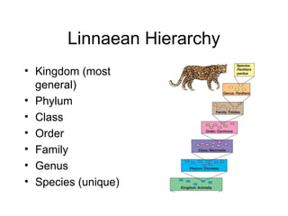Taxonomy Powerpoint GRADE 8 SCIENCE 123465 | PPT