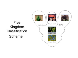 Taxonomy Powerpoint GRADE 8 SCIENCE 123465 | PPT