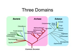 Taxonomy Powerpoint GRADE 8 SCIENCE 123465 | PPT