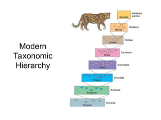 Taxonomy Powerpoint GRADE 8 SCIENCE 123465 | PPT